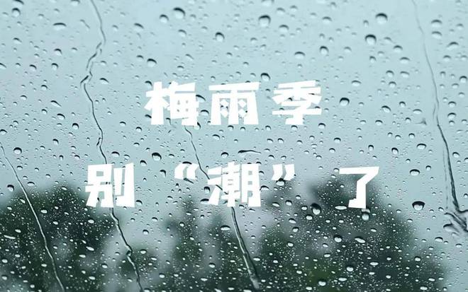 日“入梅”：茶叶这样放才不会“发霉”！AG真人国际2024年上海茶博会丨今(图7)